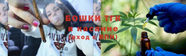 Альфа ПВП Аркадак