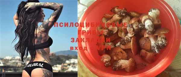 Альфа ПВП Аркадак